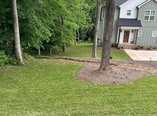 Brian E.'s Yard Cutting service result