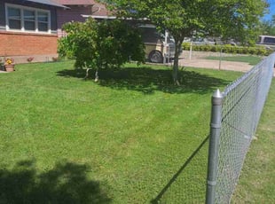 Rodney L.'s Grass Cutting service result
