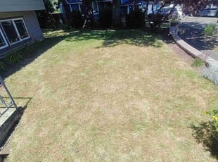 Cleanups by Ken Pearson for Erin S. in Portland, OR