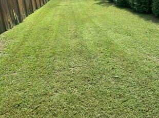 Debra B.'s Lawn Care service result