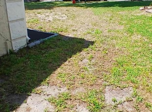 Cleanups by William Chavers for Katie B. in Valrico, FL