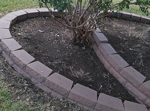 Cleanups by Elizabeth Cruz for David A. in Plano, TX