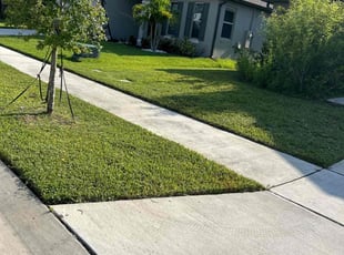 Mike M.'s Lawn Maintenance service result