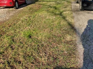 Leaf Removal by James Corbin for Davida S. in Indianapolis, IN