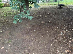 Leaf Removal by Telvin Townsend for Jeremiah Y. in Longmont, CO