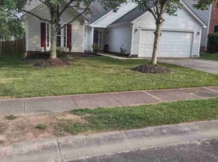 Cleanups by Michael Cherry for Anne B. in Charlotte, NC