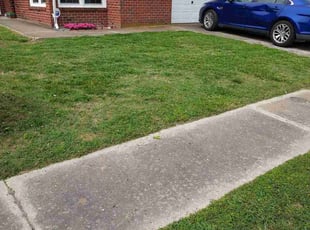 Bush Trimming by Joshua Elie for Patricia B. in Virginia Beach, VA