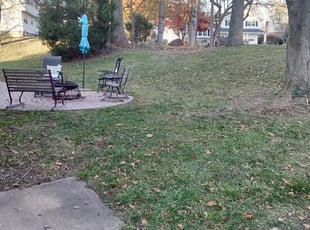 Leaf Removal by Julian Bates for Ellen M. in Wilmington, DE