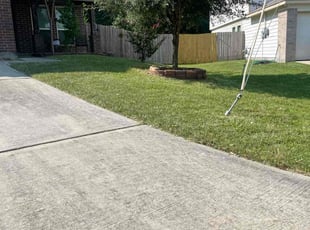Rachel K.'s Lawn Mowing Service service result