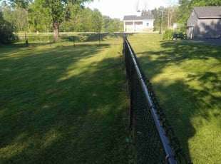 Linda H.'s Lawn Mowing service result