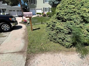 Cleanups by David Williams for John N. in Lakewood, CO