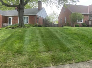 David D.'s Yard Cutting service result
