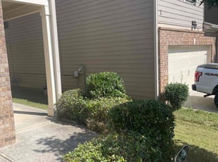 Bush Trimming by Jeffrey Curtis for Chanel P. in Atlanta, GA