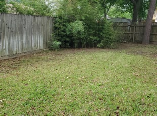 Leaf Removal by Garland Myers for Eduardo M. in Spring, TX
