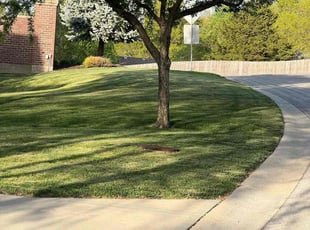 Cleanups by Danny Majewski for Linda T. in Shawnee, KS