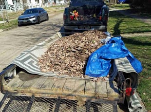 Leaf Removal by Alisha Lawson for Mackenzie S. in Columbus, OH