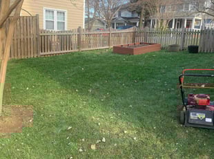 Leaf Removal by Jason Tate for Rachel L. in Arlington, VA