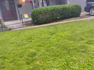 Bush Trimming by Lamont Howard for Susan M. in Columbus, OH