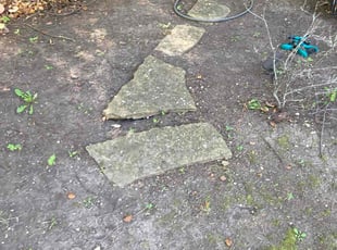 Weeding by Marcus Grimes for Liz S. in Kettering, OH