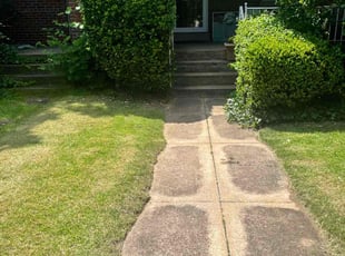 Bush Trimming by Wilson Leon for Sheila A. in Washington, DC