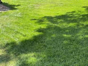 Kennetha M.'s Lawn Care service result