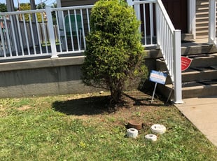 Bush Trimming by John Parshall for Lynn T. in Pittsburgh, PA