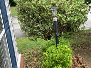 Bush Trimming by Michael Rochelle for Deborah K. in Durham, NC