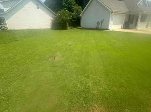 Bush Trimming by Jeremy Lane for Felicia S. in Hampton, GA