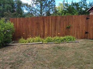 Weeding by Jason Bickler for Margie S. in Longmont, CO