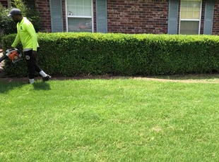 Bush Trimming by Paul Handley for Miriam B. in Broken Arrow, OK