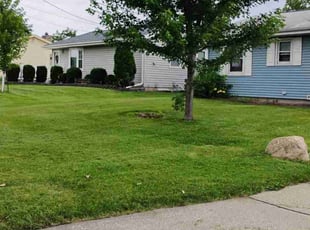 Irene S.'s Lawn Care service result