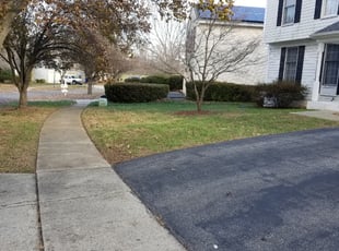 Leaf Removal by Miguel Santos for Ilse P. in Gaithersburg, MD