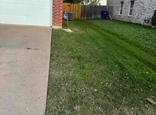 Bev M.'s Lawn Care service result