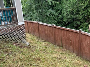 Gary & Eva D.'s Lawn Care service result