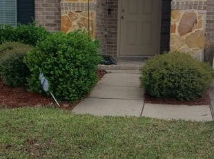 Mulching by Dionte Andrews for Jennifer B. in Fort Worth, TX