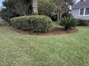 Bush Trimming by Jason Fisher for Philip H. in Jacksonville, FL