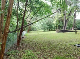 Bush Trimming by Jesse Ruiz for Jean D. in DeSoto, TX