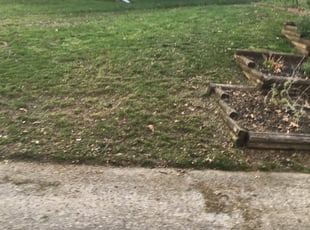 Cleanups by Franklin Haines for Susan N. in Olathe, KS