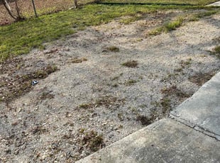 Leaf Removal by Pete Chacon for Celina A. in San Antonio, TX