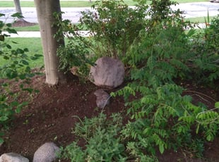 Landscaping by Matthew Bobbio for Kristen S. in DeWitt, MI