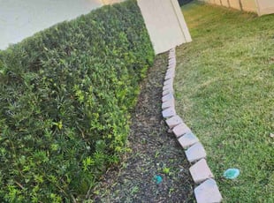 Bush Trimming by Rolando Mojica Betancourt for Tristan O. in St. Cloud, FL