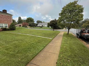 Jackie C.'s Lawn Care service result