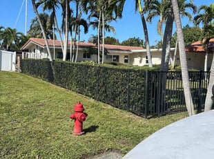 Bush Trimming by Austin Way for Matt K. in Fort Lauderdale, FL