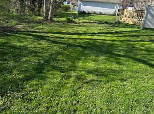 Stella I.'s Lawn Care service result