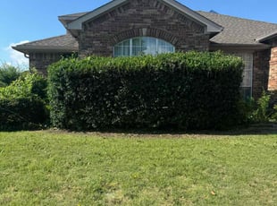 Bush Trimming by Liobardo Ortiz for Roger C. in Mesquite, TX