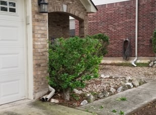 Bush Trimming by Jahaziel Sosa for Stacy V. in San Antonio, TX