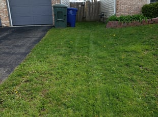 Cleanups by Scott Ruch for Lash T. in Columbus, OH