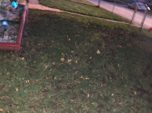 Leaf Removal by Abel Macareno for patty h. in Indianapolis, IN