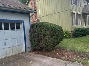 Bush Trimming by Jacob Russi for Bob B. in Lee's Summit, MO