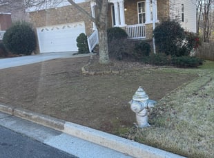 Weeding by Daniel Burse for Jana S. in Marietta, GA